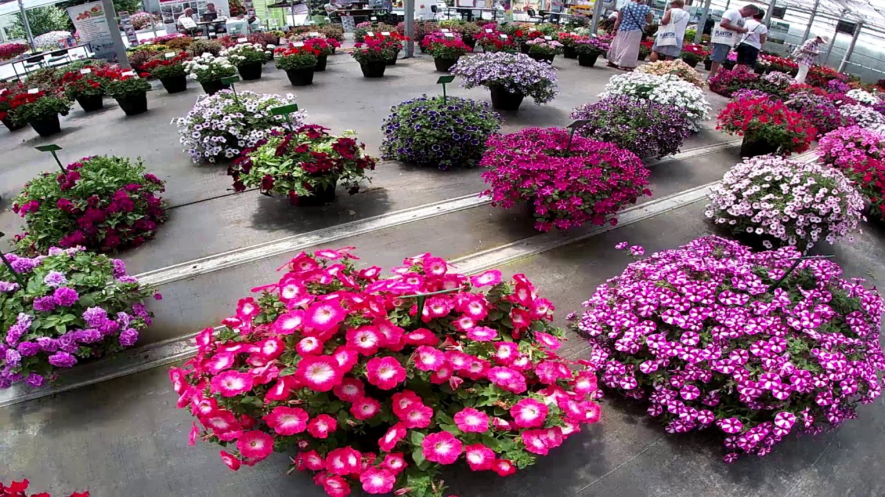 Dni Otwarte Plantpol Zaborze Oświęcim 2019