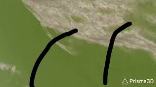 Prima 3d Running animation test