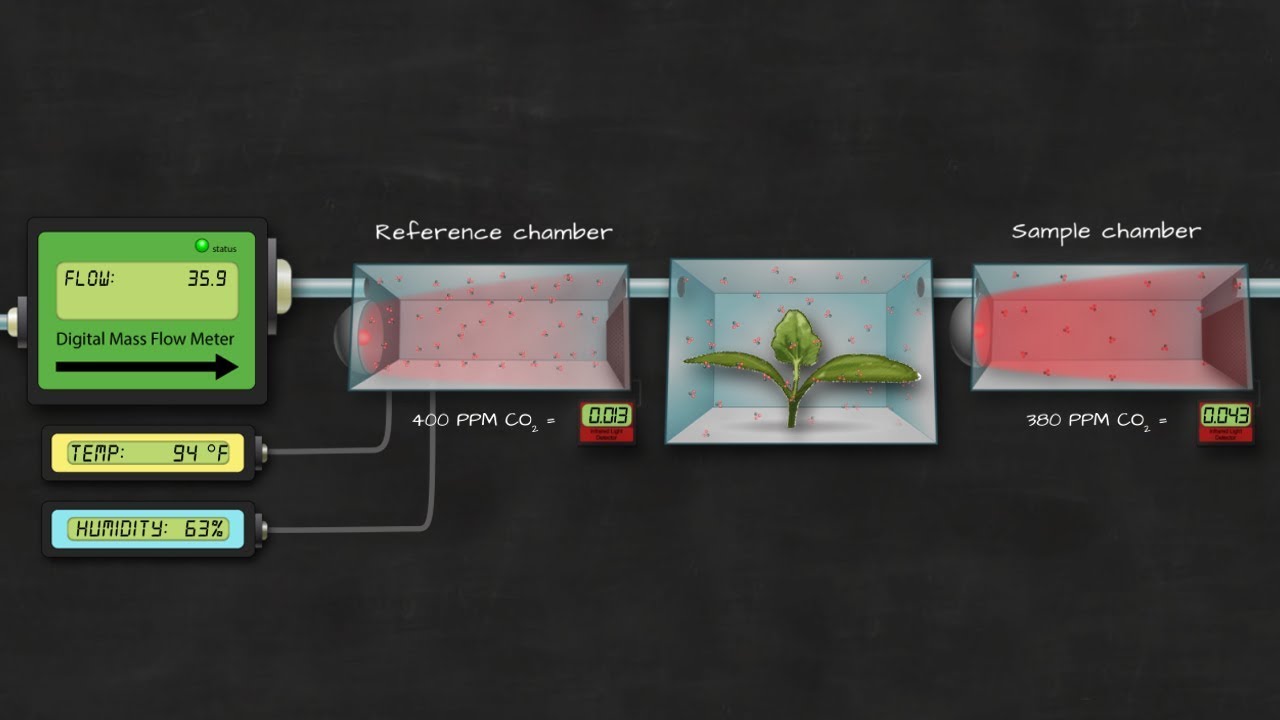 How We Measure Photosynthesis