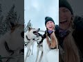 How GORGEOUS is this dog sled team?! 😍 Done with Kingmik Dog Sled Tours in Banff! #shorts