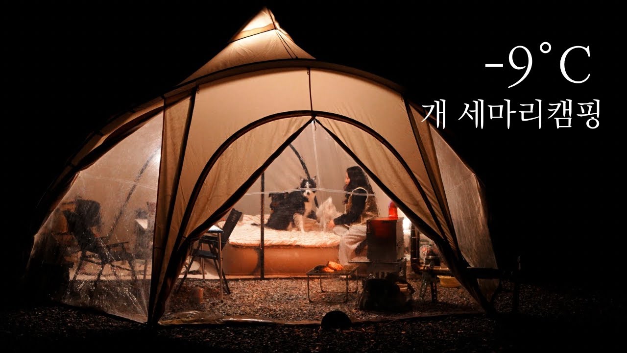 실외 -9℃  텐트 안은 26℃, 추위 따위 무섭지 않은 대형견과의 동계캠핑🎄❄️ ㅣ횡성 라라솔캠핑장ㅣ캠핑칸 블로우쉘터ㅣ미니맥스 mx1dual