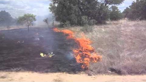 Prescribed fire on Juniper Woodland