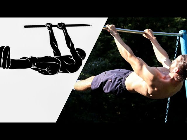 Leg assisted front lever pull-ups on parallel bars - Exercise level  intermediate