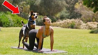 История шокировала весь мир! Вот что сделала собака с женщиной во время йоги!