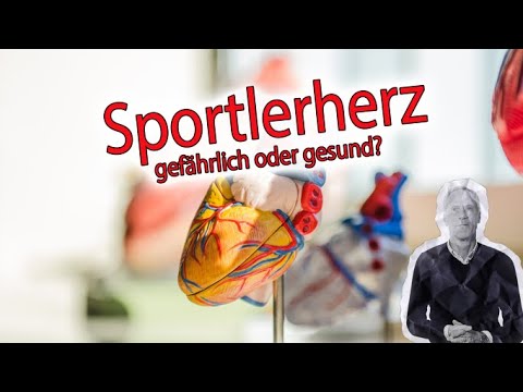 Was ist ein Sportlerherz und ist es gefährlich? Kardiomegalie