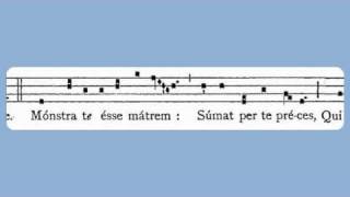 Ave Maris Stella (Easter) chords