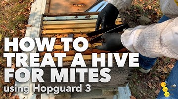 Mijtenbestrijding - Hopguard 3 | Hoe behandel je een bijenkast tegen mijten [Imker Tutorial]