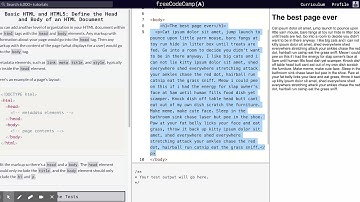 Learn Basic HTML and HTML5: Define the Head and Body of an HTML Document | freeCodeCamp.org 28