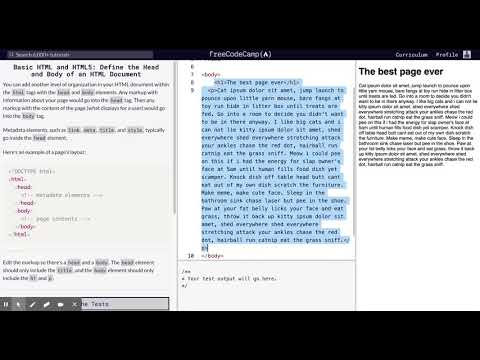 Learn Basic HTML and HTML5: Define the Head and Body of an HTML Document | freeCodeCamp.org 28