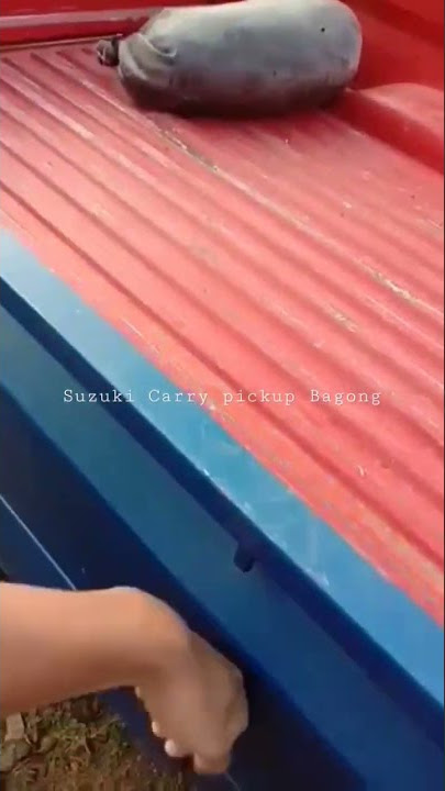 Suzuki Carry Pick up Bagong