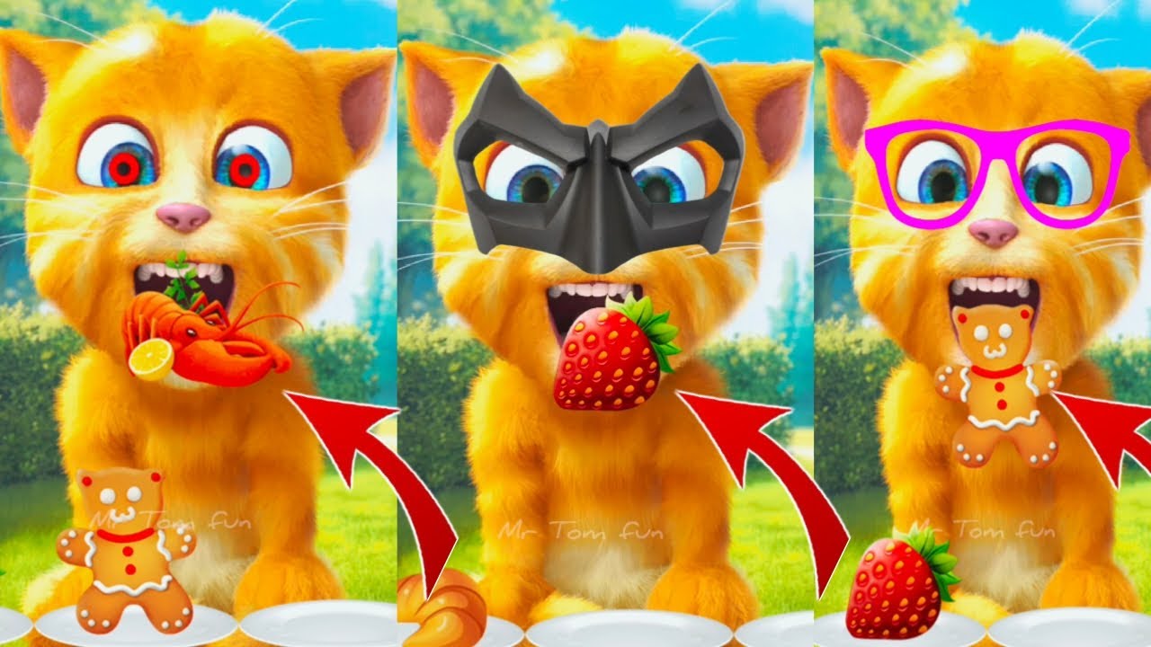 Talking Ginger Funny Videos 🤓🥳 | my talking tom | my talking ginger |