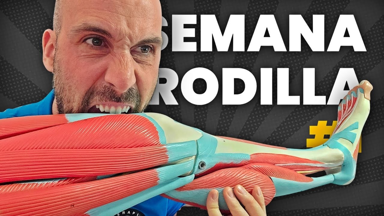 Original Title & Thumbnail