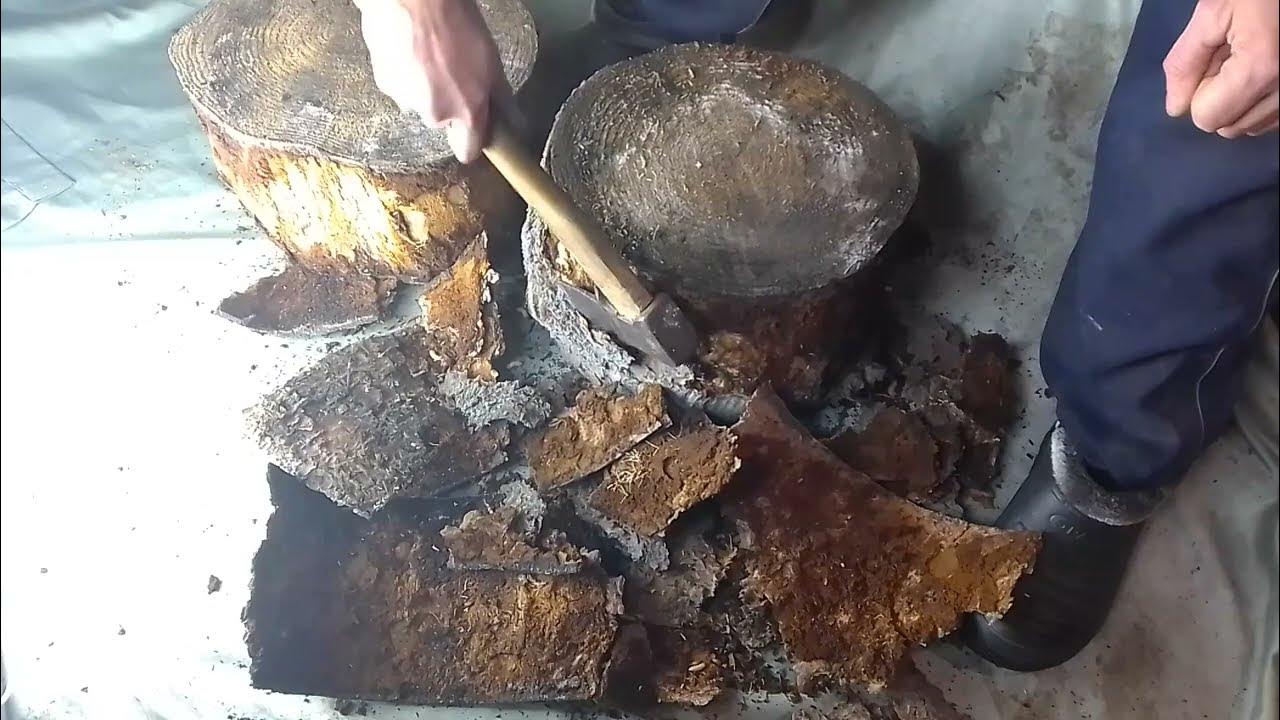 Кора лиственницы для мульчи. Мифы и реальность. Стоит ли переплачивать ...
