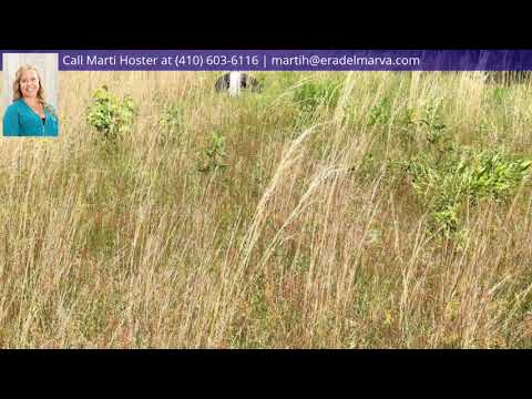 8385 HURLEYS NECK ROAD, Mardela Springs, MD home video tour