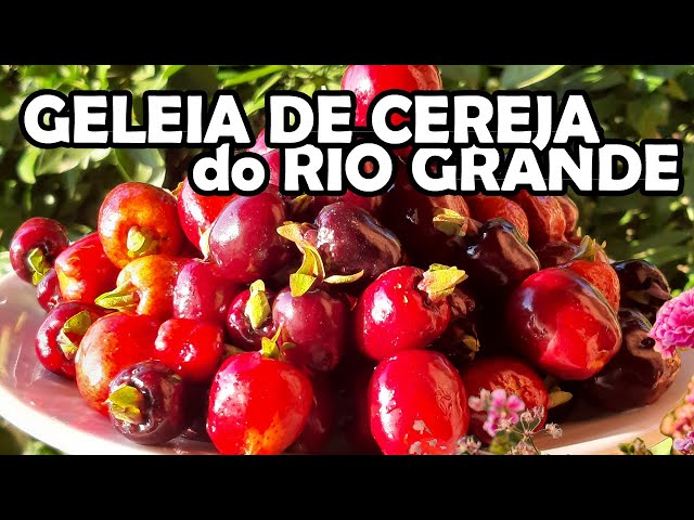 Ximia seja chimia, geléia ou chutney! - Chácara Matita Perê