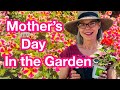 Tiny House Spring Mini Garden Tour | Garden Center Haul &amp; Planting Window Boxes for Mother's Day