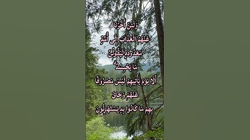 🔴 تلاوة مؤثرة | سورة هود الآية 8 بصوت خاشع يلامس القلوب