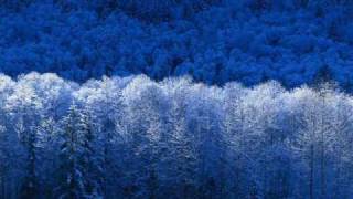 Turandot Tu Che Di Gel Sei Cinta