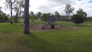 Catania Street Park, Wishart (QLD) - dogexplorer.com.au