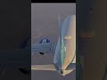 @united Cinematic Fan Made Shots! 💙 #unitedairlines #viral #aviation #cinematic