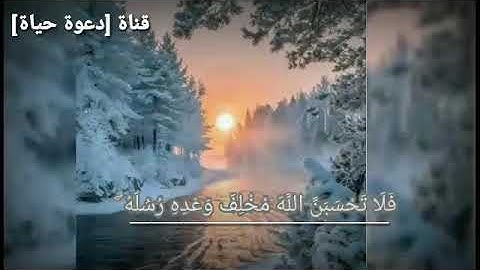 قرآن كريم🌹بصوت القارئ عبدالرحمن مسعد🌺اجمل حالات واتساب دينية