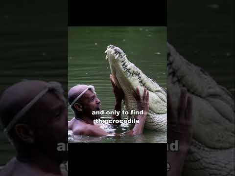 The Man Who Swims With Crocodile