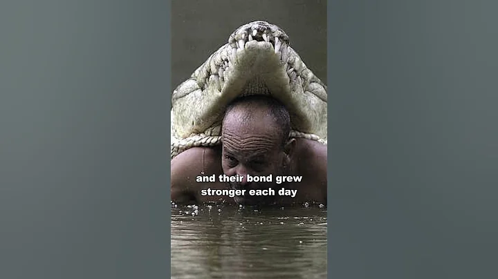 The Man Who Swims With Crocodile - DayDayNews