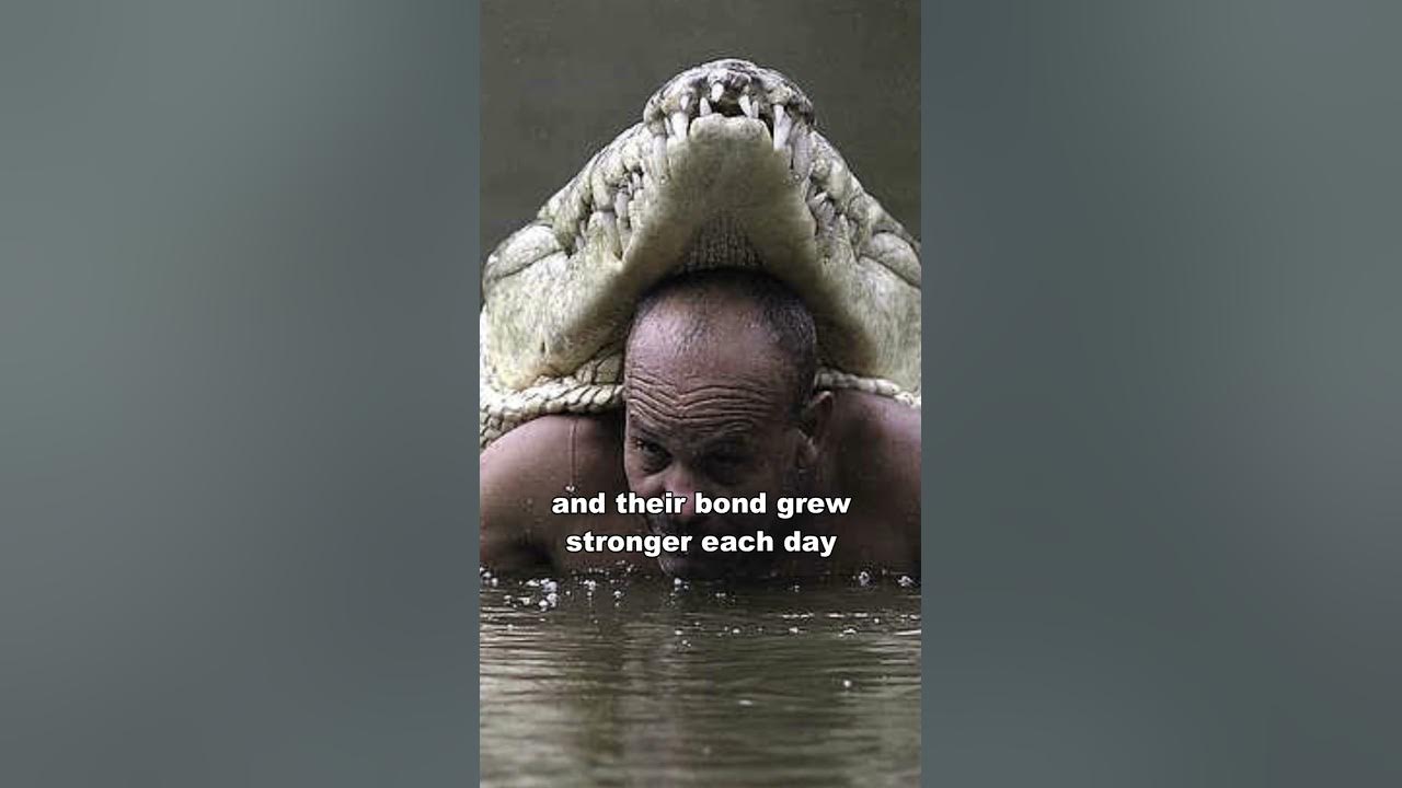 The Man Who Swims With Crocodile - YouTube
