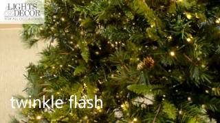 Multifunction LED Christmas Cluster Garland String Lights