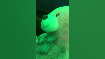 #DreamTrackAI My brain has too many open tabs