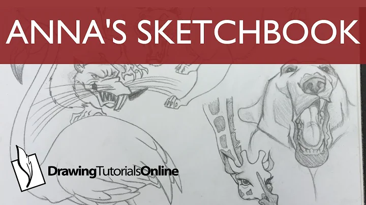 Anna's Sketchbook - Drawaholic's Delight