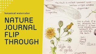 Nature journal flip through, botanical watercolor, I’m not professional