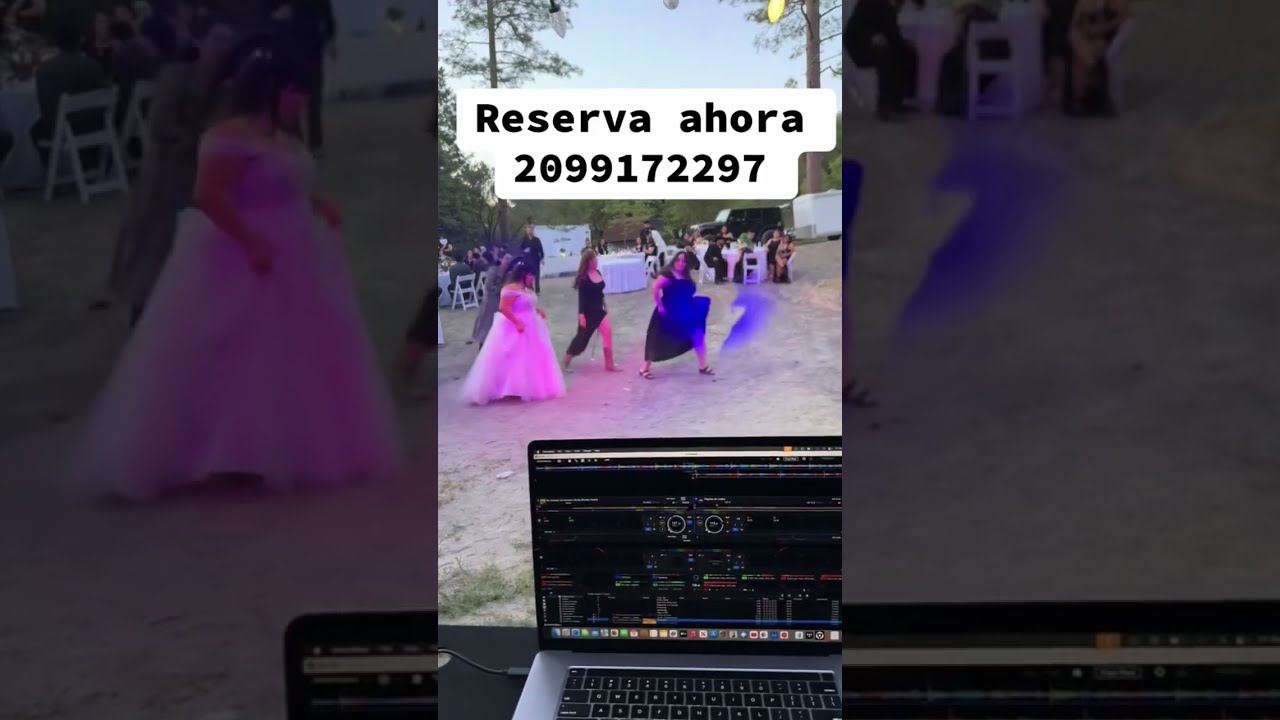 DJ Gig Log Wedding 