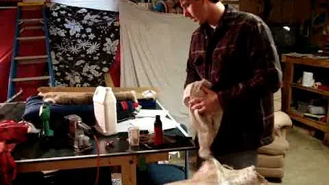 Tanning your own deer hide: Overview