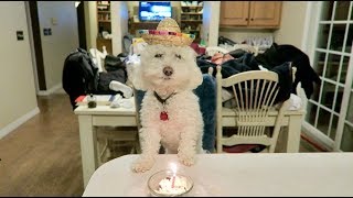 Celebrating Quincy's Birthday!
