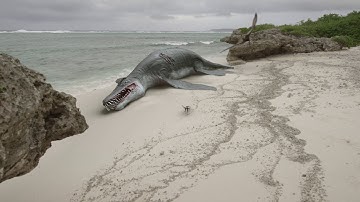 ARCHAEOPTERYX - The oldest known bird