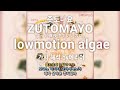즛토마요ずっと真夜中でいいのに。(ZUTOMAYO) - lowmotion algae 가사/해석/발음/lyrics