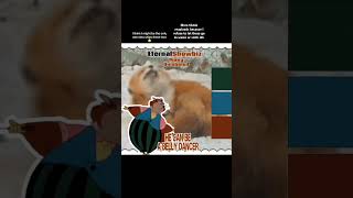 #animatedmovie #donbluth #edit #fypシ #ship #shipping