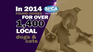 SPCA Gala V2 30
