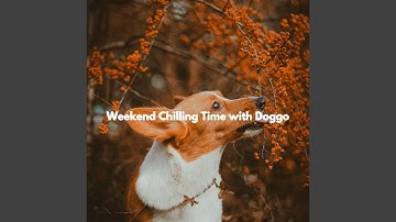 Festive Backdrops for Limitless Overtones