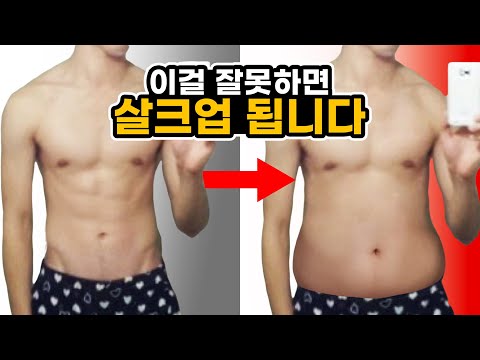 살크업 방지 3가지 법칙ㅣ헬린이 멸치 탈출