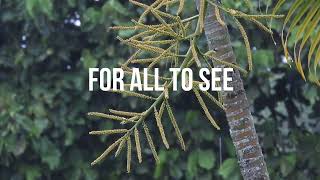 Danny Gokey - Masterpiece
