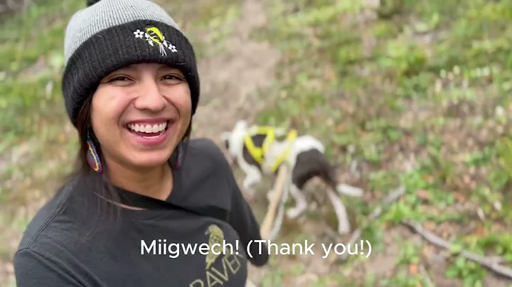 Ina'amii = S/he walks or steps a certain way (Ojibwe Word of the Day)