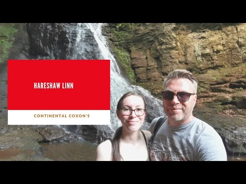 Hareshaw Linn - Stunning Forest Walk and Waterfall - Bellingham, Northumberland