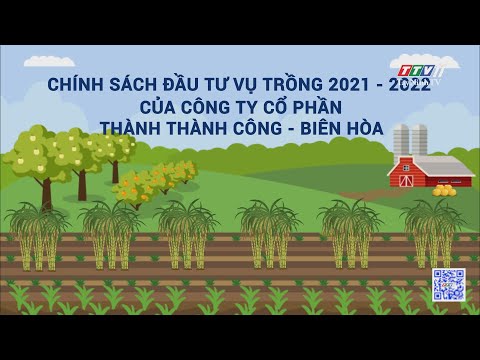Video CHÍNH SÁCH ĐẦU TƯ VỤ TRỒNG 2021 - 2022 CỦA CÔNG TY CỔ... - youtube