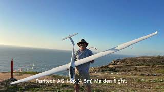 Antares & ASH-26 flying Torrey