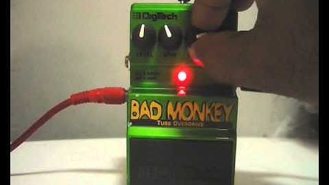 Digitech Bad Monkey Tube Overdrive Demo