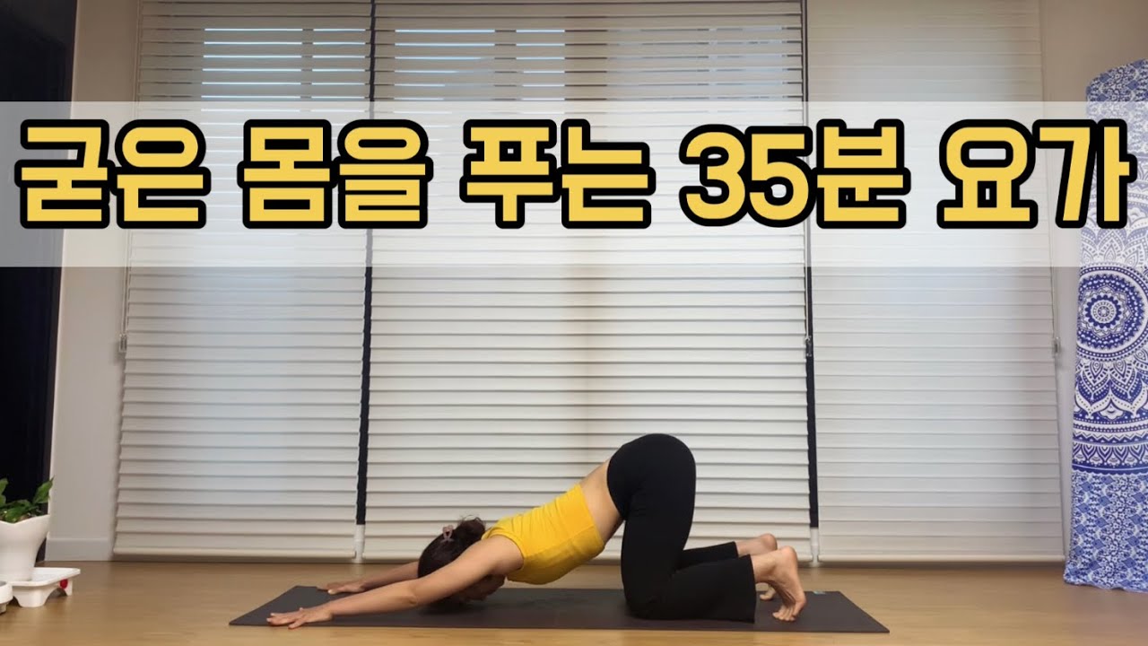 [서리요가