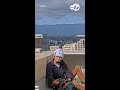 Falcosn dive-bomb researchers tagging chicks at SJ city hall