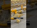 Save 50 tonnes of chicken feed each year!